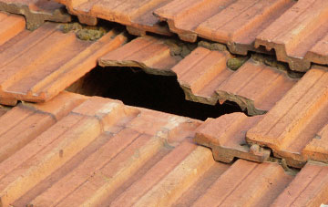 roof repair Low Risby, Lincolnshire